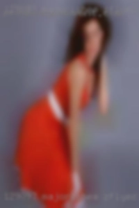 Majorishea